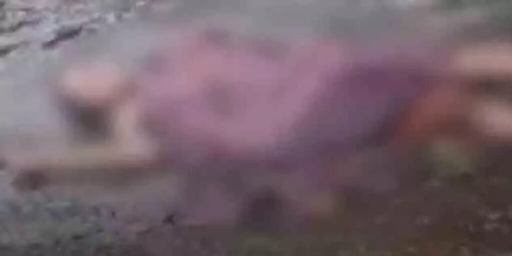 दंतेवाड़ा में महिला से रेप के बाद हत्या, नग्न हालत में मिली लाश