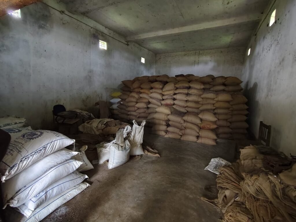 ग्राम गिरसूल में सरकारी राशन दुकान में बड़ी चोरी — पीडीएस चावल और शक्कर पर अज्ञात चोरों का हाथ साफ