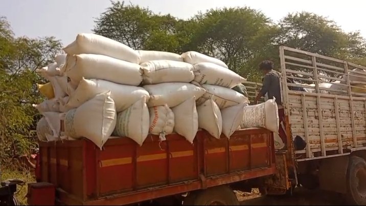 “चार सौ बोरी धान बरामद—प्रशासन बोले: मेहनताना बढ़ना चाहिए, अवैध धान वालों ने हमें नाइट शिफ्ट में डाल दिया”
