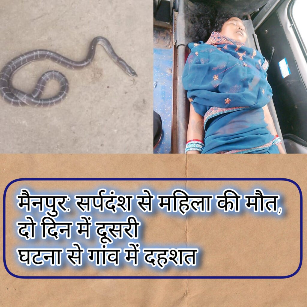 मैनपुर: सर्पदंश से महिला की मौत, दो दिन में दूसरी घटना से गांव में दहशत