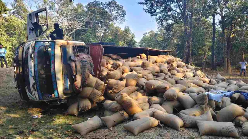 तेज रफ्तार धान से भरा ट्रक पलटा, बड़ा हादसा टला — चालक बाल-बाल बचा