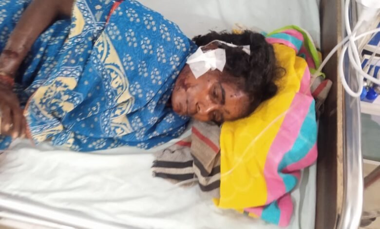 गरियाबंद में तेंदुए का आतंक: एक ही दिन में महिला और पुरुष पर हमला, महिला गंभीर घायल