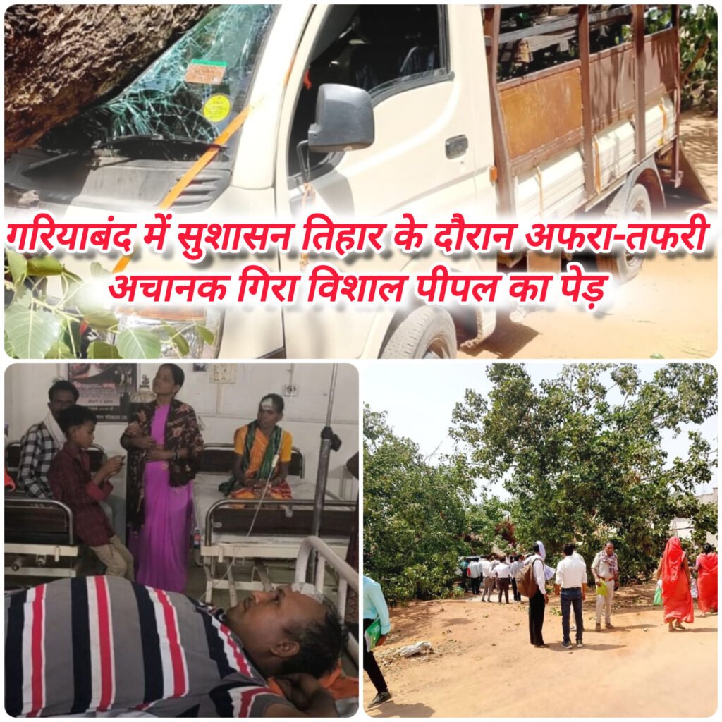 गरियाबंद में सुशासन तिहार के दौरान अफरा-तफरी, अचानक गिरा विशाल पीपल का पेड़