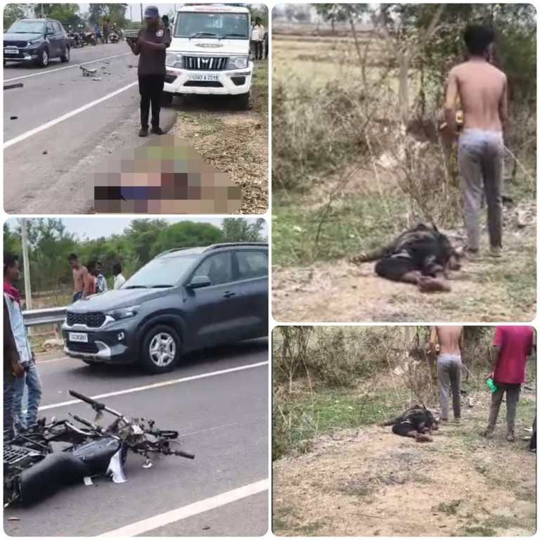 सरकड़ा-पांडुका मार्ग पर भीषण सड़क हादसा: 19 वर्षीय युवक की मौके पर मौत, दूसरा गंभीर, रायपुर रेफर