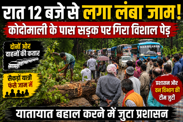 गरियाबंद: आधी रात से हाईवे पर लंबा जाम, कोदोमाली के पास सड़क पर गिरा विशाल पेड़; यातायात बहाल करने में जुटा प्रशासन