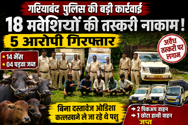 गरियाबंद पुलिस की बड़ी कार्रवाई: 18 मवेशियों की अवैध तस्करी नाकाम, पांच आरोपी गिरफ्तार