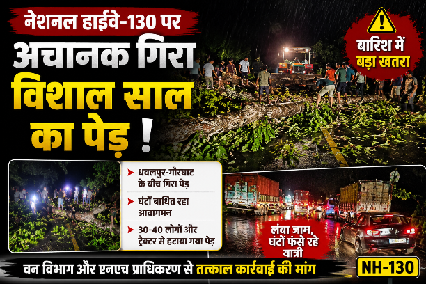 नेशनल हाईवे-130 पर अचानक गिरा विशाल साल का पेड़, घंटों बाधित रहा यातायात