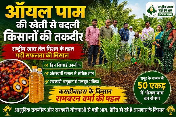 ऑयल पाम की खेती से बदली किसानों की तकदीर राष्ट्रीय खाद्य तेल मिशन के तहत गढ़ी सफलता की मिसाल