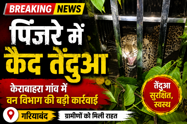 केराबाहरा में पिंजरे में सुरक्षित पकड़ा गया तेंदुआ, वन विभाग ने ग्रामीणों से की सतर्क रहने की अपील