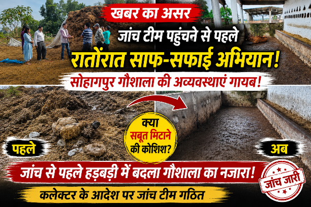 खबर का असर ,जांच की भनक लगते ही बदला गौशाला का नजारा, गंदगी और अवशेष अचानक गायब