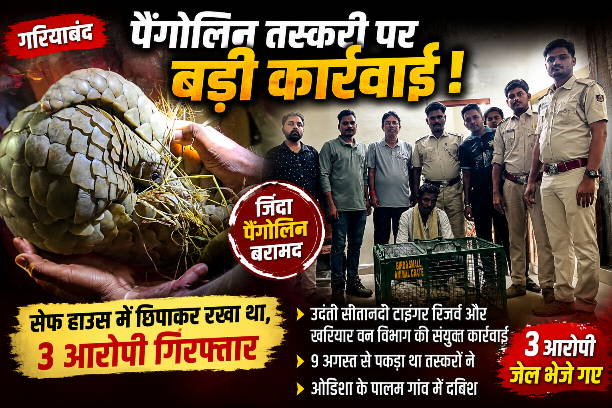 वन्यजीव तस्करी के खिलाफ शिकंजा, जिंदा पैंगोलिन बरामद; 3 आरोपी जेल भेजे गए