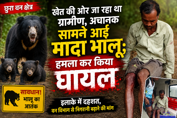 दादरगांव में भालू की दहशत, खेत जा रहे ग्रामीण पर अचानक हमला