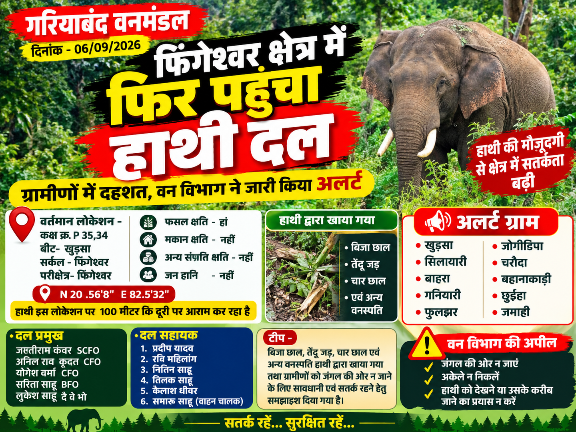 फिंगेश्वर क्षेत्र में फिर पहुंचा हाथी दल, ग्रामीणों में दहशत; वन विभाग ने जारी किया अलर्ट