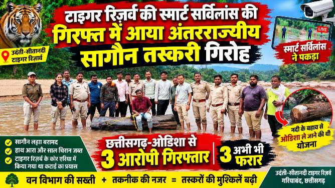 सागौन तस्करों की ‘नदी वाली डिलीवरी’ स्मार्ट सर्विलांस ने पकड़ी, ओडिशा पहुंचने से पहले ही खुल गया खेल