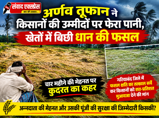 धान की फसल बर्बाद, किसानों की उम्मीदें टूटीं; मुआवजे के लिए उठी आवाज